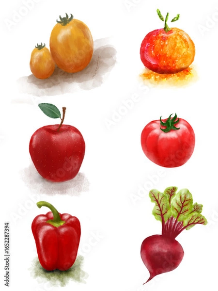 Obraz set of vegetables