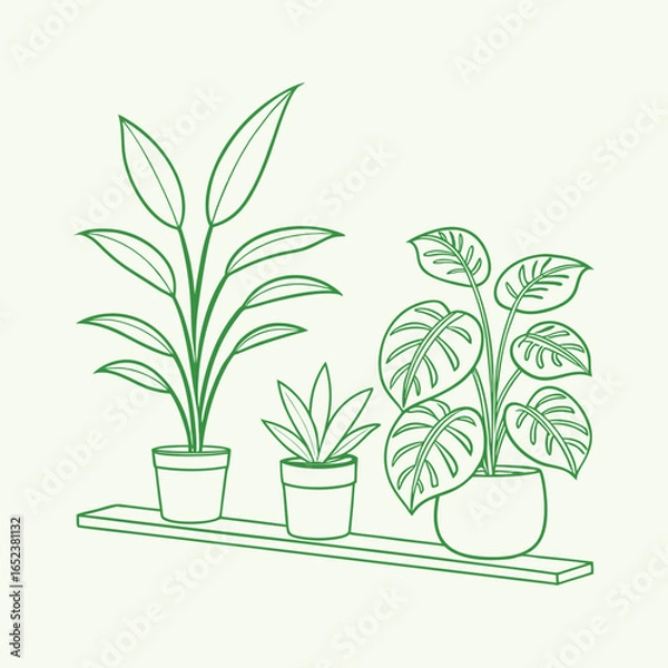 Obraz Chic Indoor Plant Display for Stylish Home Décor.