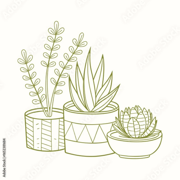 Obraz Elegant Succulent and Cactus Plant Set for Home Décor.