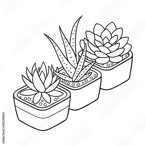 Obraz Elegant Succulent Trio in Modern Pots.