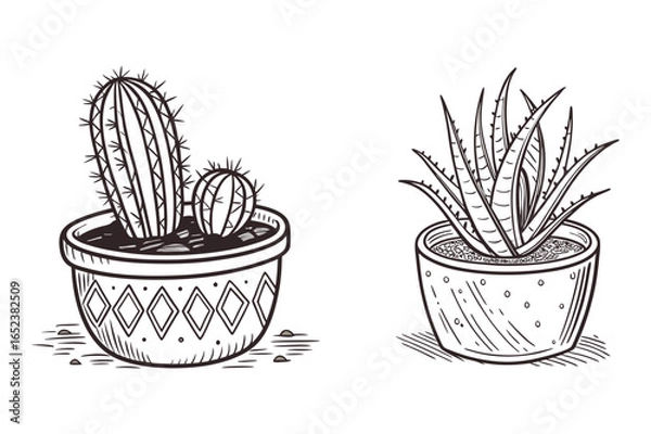 Obraz Silhouette Cactus and Succulents in Decorative Pots.