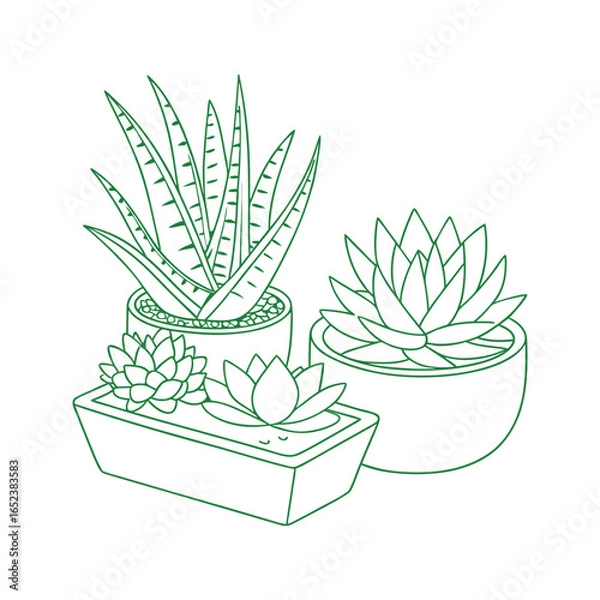 Obraz Vibrant Succulent Arrangement for Modern Home Décor.