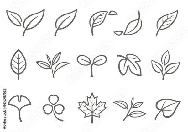 Fototapeta 葉っぱ　葉　アイコンセット　線画