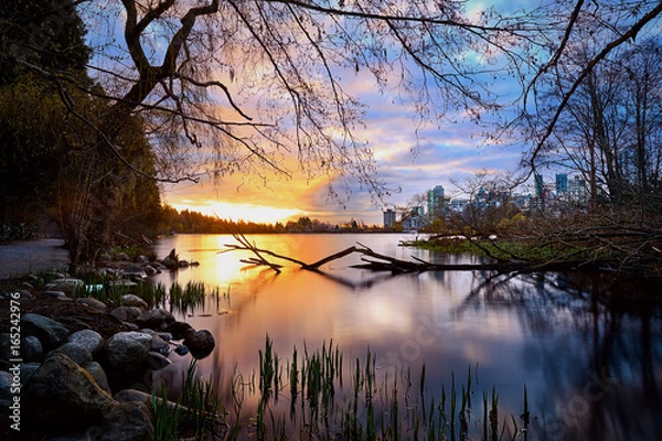 Fototapeta The Morning