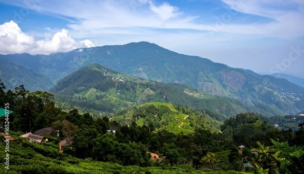 Fototapeta Lush mountain range with tea plantations