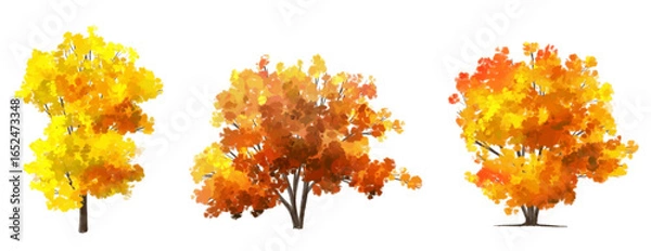 Fototapeta Vector side view ginkgo tree for environment scene in autumn,watercolor tree elevation for landscape concept,environment panorama scene,eco design