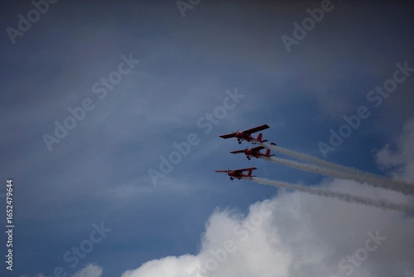 Obraz airplane in flight