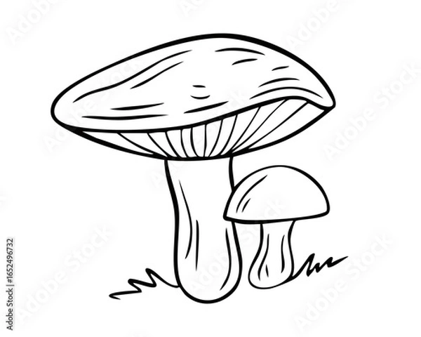 Fototapeta Forest mushrooms. Simple line art illustration of two wild mushrooms, perfect for nature-themed designs, food blogs, or autumn season concepts. Vector illustration	