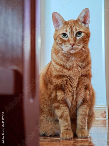 Fototapeta Warmer than a sunset