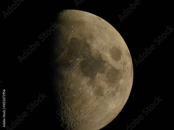 Obraz moon in the night