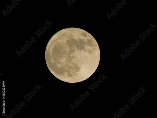 Obraz full moon on black background
