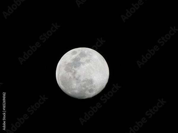 Obraz full moon on black background