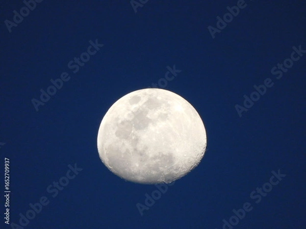 Obraz moon in the sky