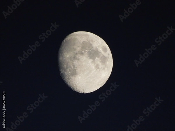 Obraz moon in the sky