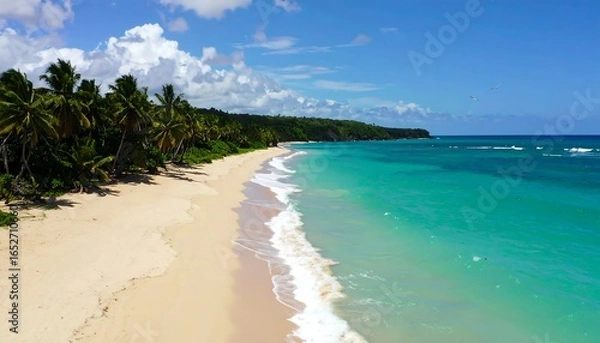 Obraz Tropical beach vista