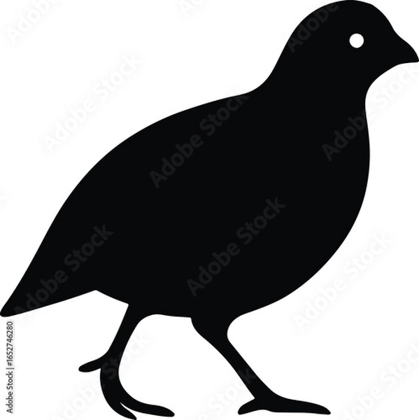 Fototapeta Vector Illustrator Partridge Walking Profile Black Shape Cutout Isolated Silhouette