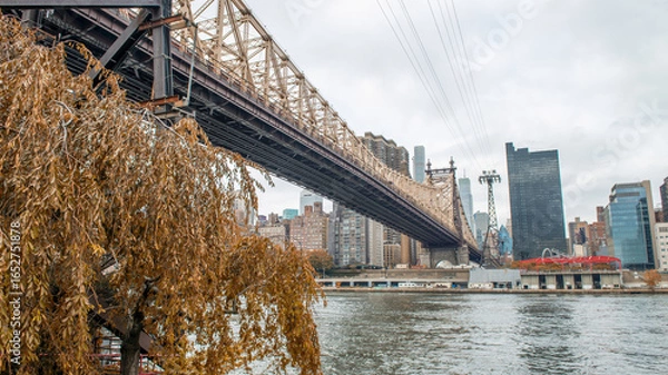 Fototapeta Stunning View of Manhattan Skyline and Roosevelt Island Bridge from Roosevelt Island