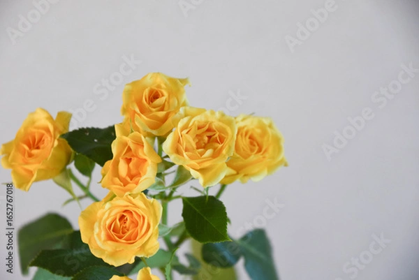 Obraz 黄色いばら