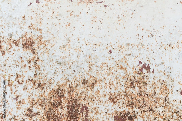 Obraz RUSTIC WHITE TEXTURE WALL