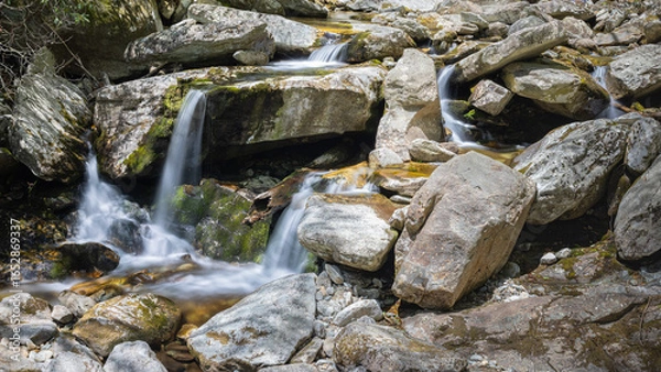 Obraz Small stream in the forest.