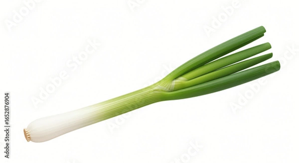 Fototapeta Fresh Green Onion: Culinary Ingredient on White