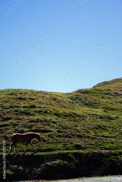Obraz old stone fence