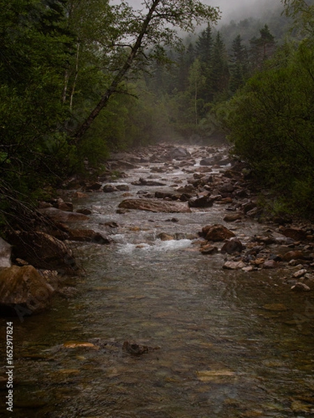 Obraz river in the forest