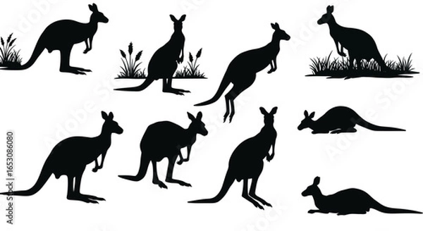 Fototapeta Collection of Diverse Kangaroo Silhouettes Showcasing Various Poses and Actions Against a Clean White Background for Graphic Design Projects