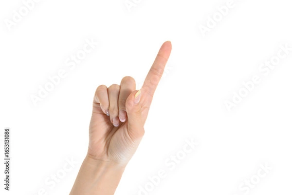 Fototapeta ナチュラルネイルをしている日本人女性の手