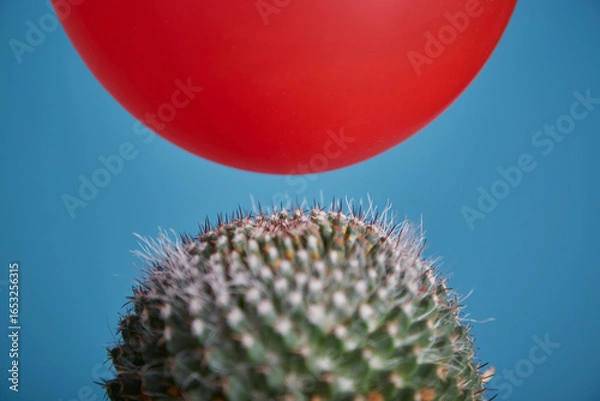 Fototapeta A red balloon floats toward a cactus and is about to burst due to a thorn. A symbol of danger and fragility
