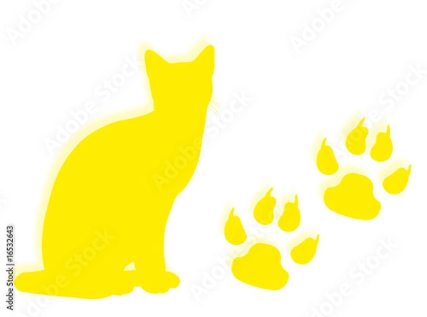 Obraz Gatto e impronte