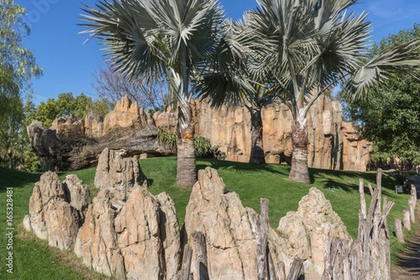 Obraz subtropische Landschaft