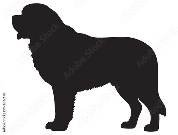 Obraz ST. BERNARD DOG SILHOUETTE