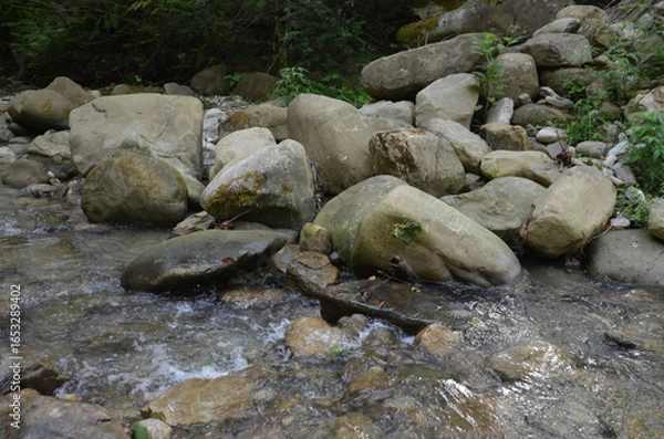 Obraz пейзажи горной реки