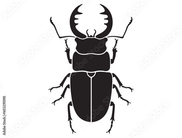 Obraz STAG BEETLE SILHOUETTE