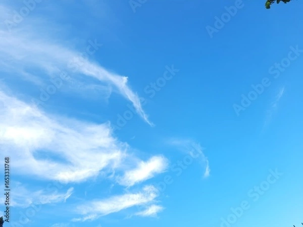 Obraz blue sky with clouds