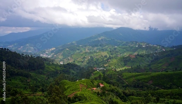 Obraz Misty mountain valley