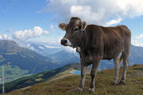 Obraz Schöne Aussicht