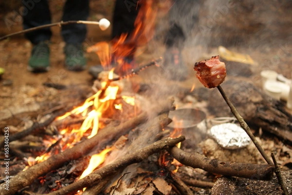 Obraz 焚き火で楽しむマシュマロと肉の炙り