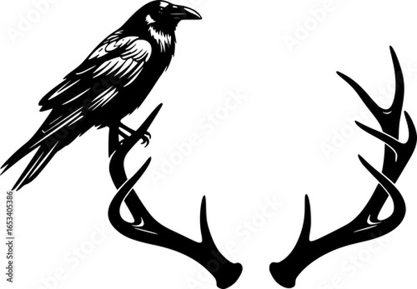 Fototapeta Black Raven on Antlers with Crescent Moon Vector Outline
