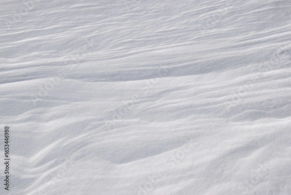 Obraz Snow texture