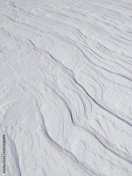 Obraz Snow texture