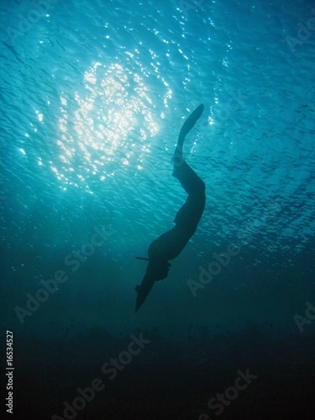Obraz Freediving