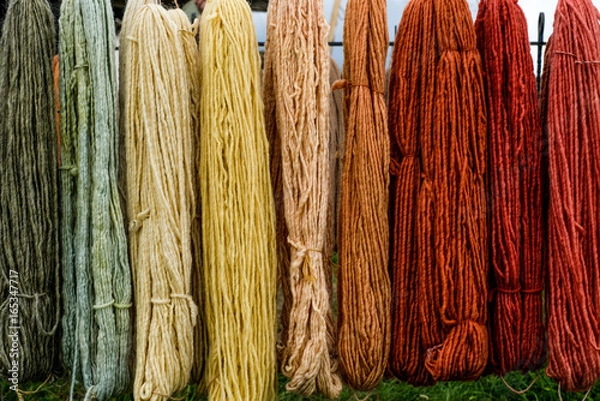 Fototapeta merino wool