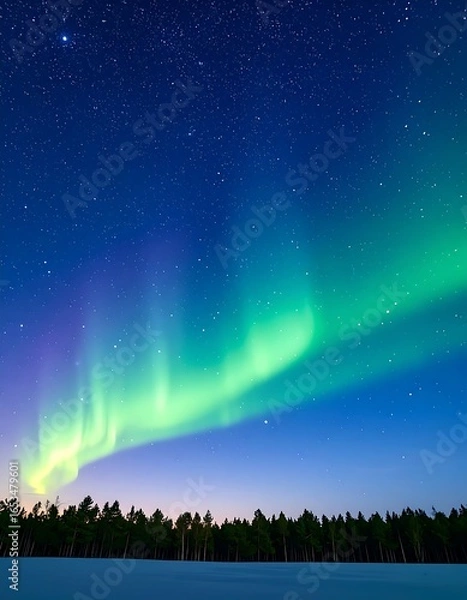 Obraz Aurora borealis over snowy forest