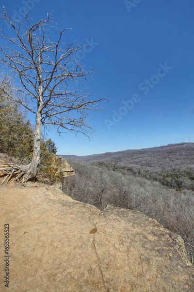 Obraz Devil's Den State Park, Arkansas.