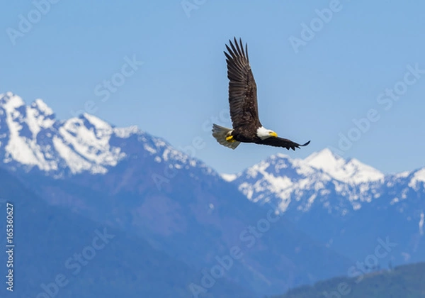 Obraz 05272017bigbeefcreek16