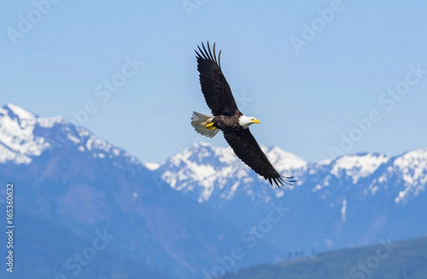 Obraz 05272017bigbeefcreek15