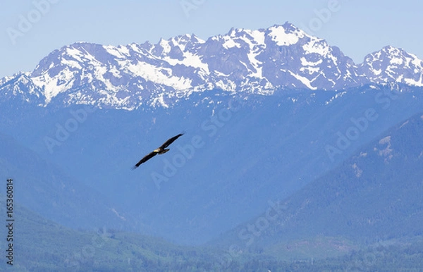 Obraz 05272017bigbeefcreek4