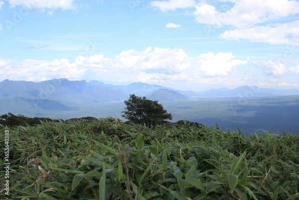 Fototapeta 登山道
